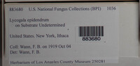 Image Associated With the Occurence